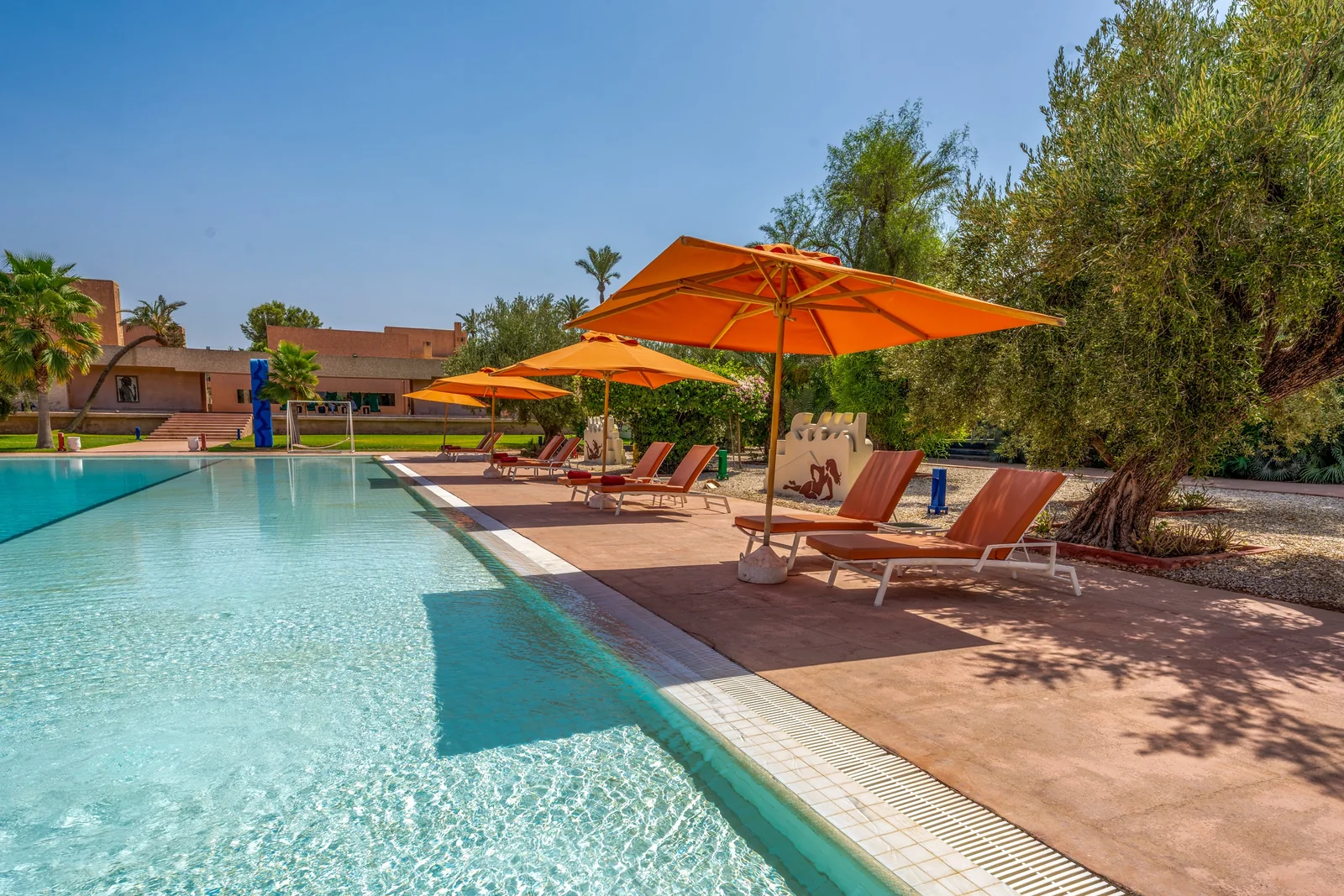 Les transats au bord de la piscine